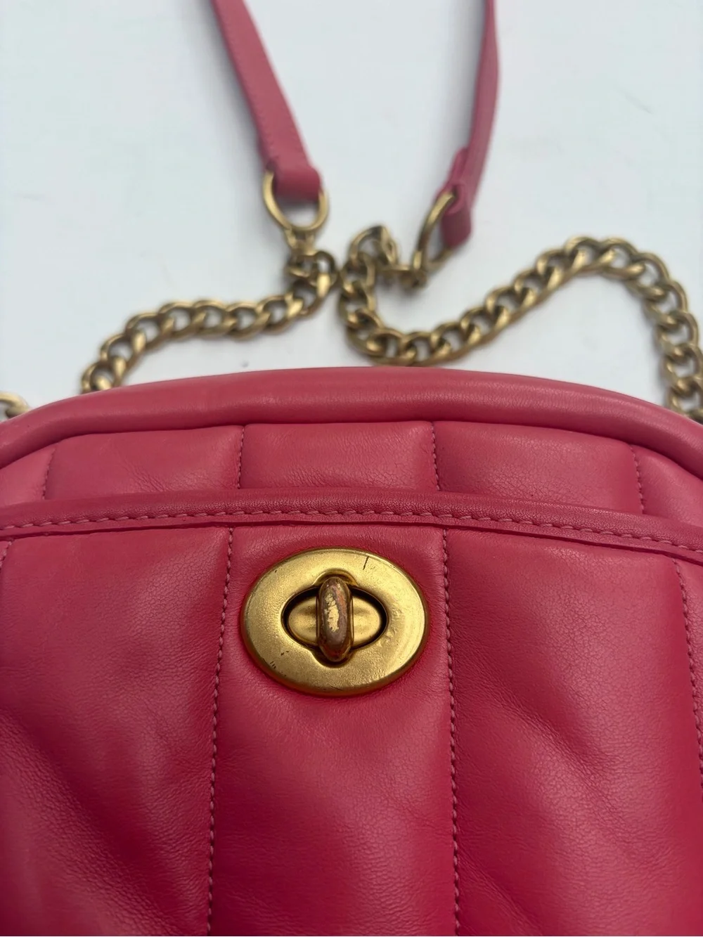 Coach Watermelon Camera Bag